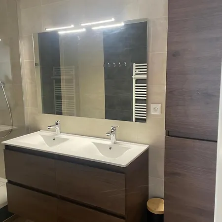 Confort Et Moderne Geneve Paris